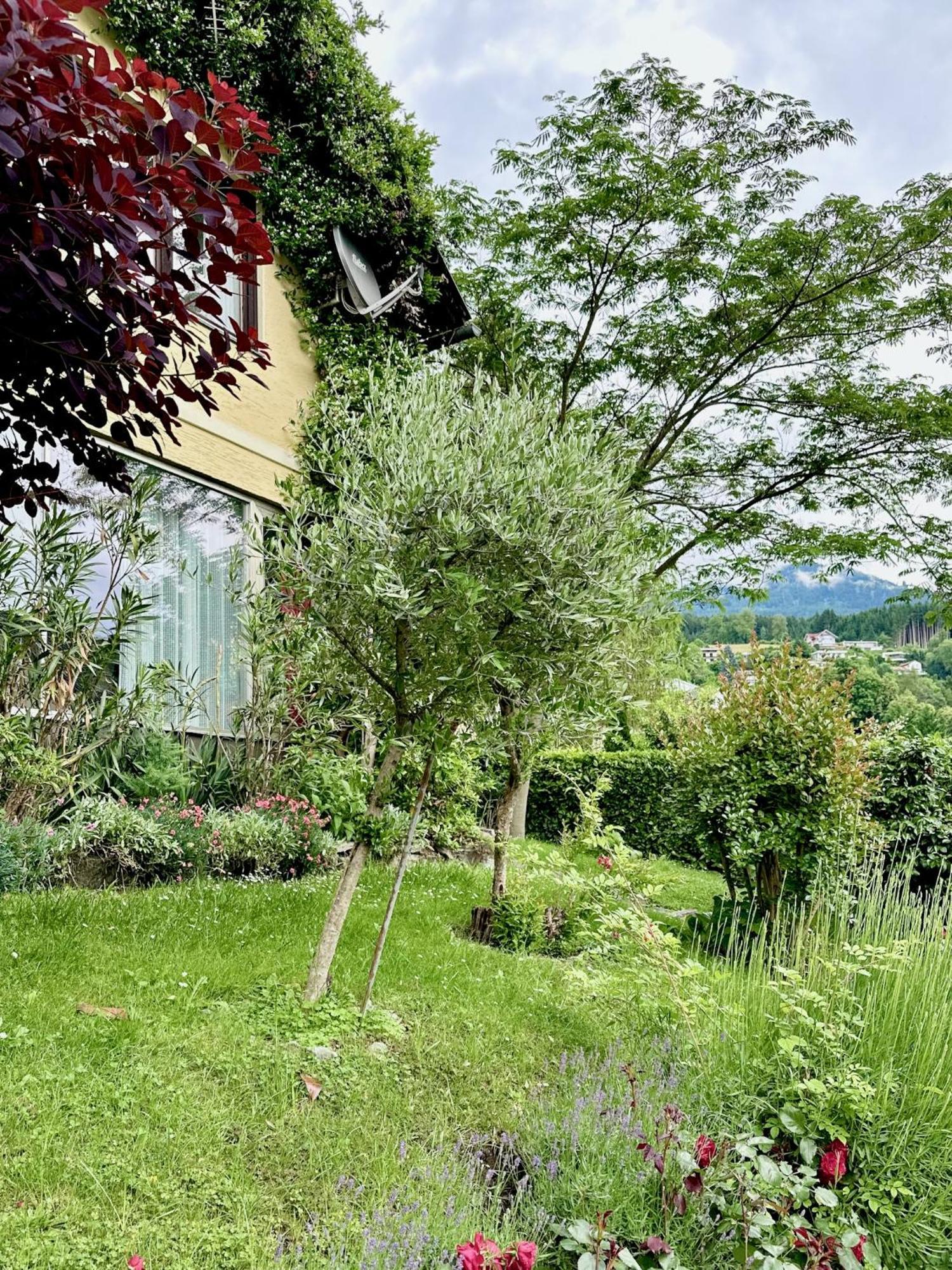 Haus Marianne Bed & Breakfast Millstatt Exterior photo