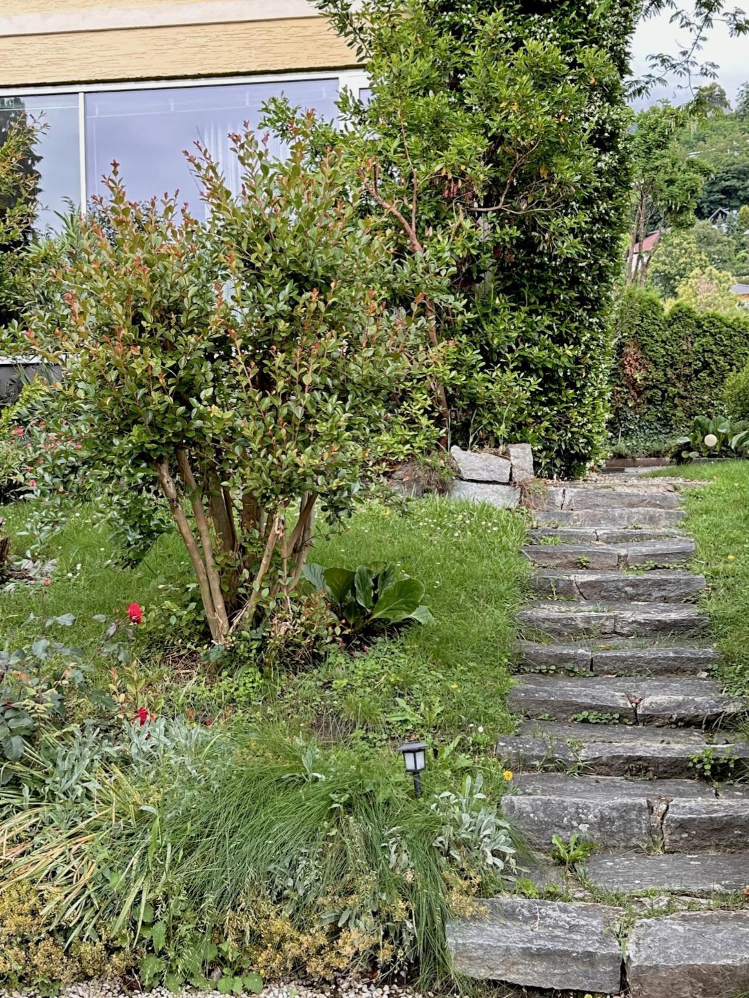 Haus Marianne Bed & Breakfast Millstatt Exterior photo
